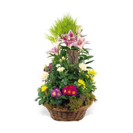Fleurs fraîches