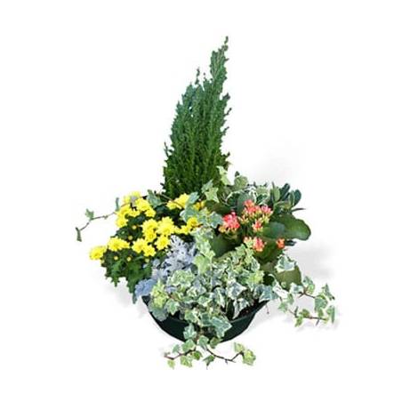 Fleurs fraîches