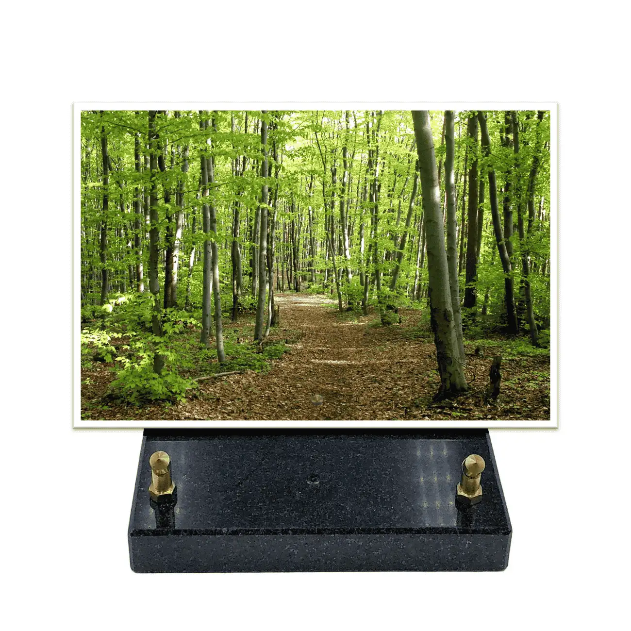 Plaque-funéraire-rectangle-forêt