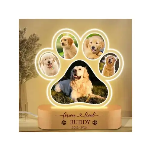 lampe-souvenir-quatre-pattes-m1